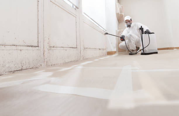 24/7 Emergency Basement Mold Removal experts in Harrisburg, PA